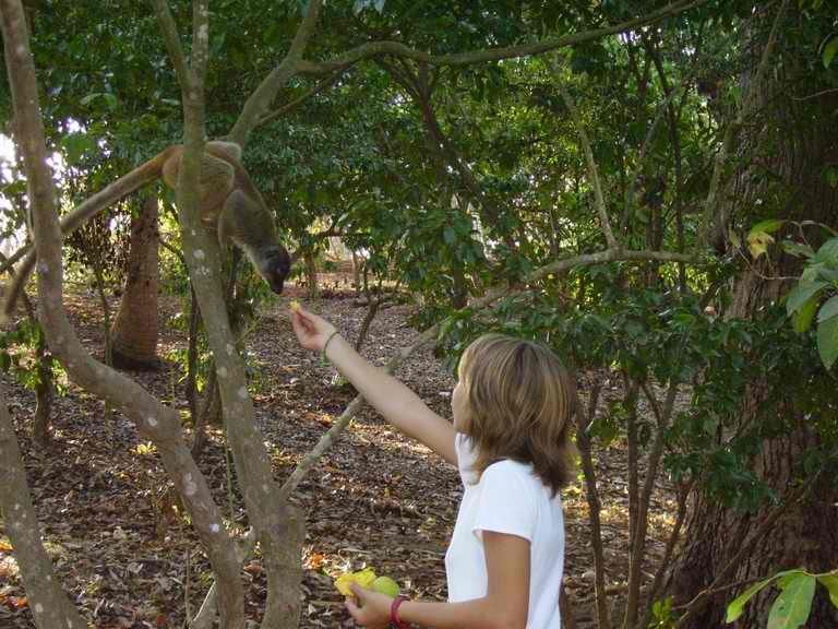 rencontre mayotte gratuit